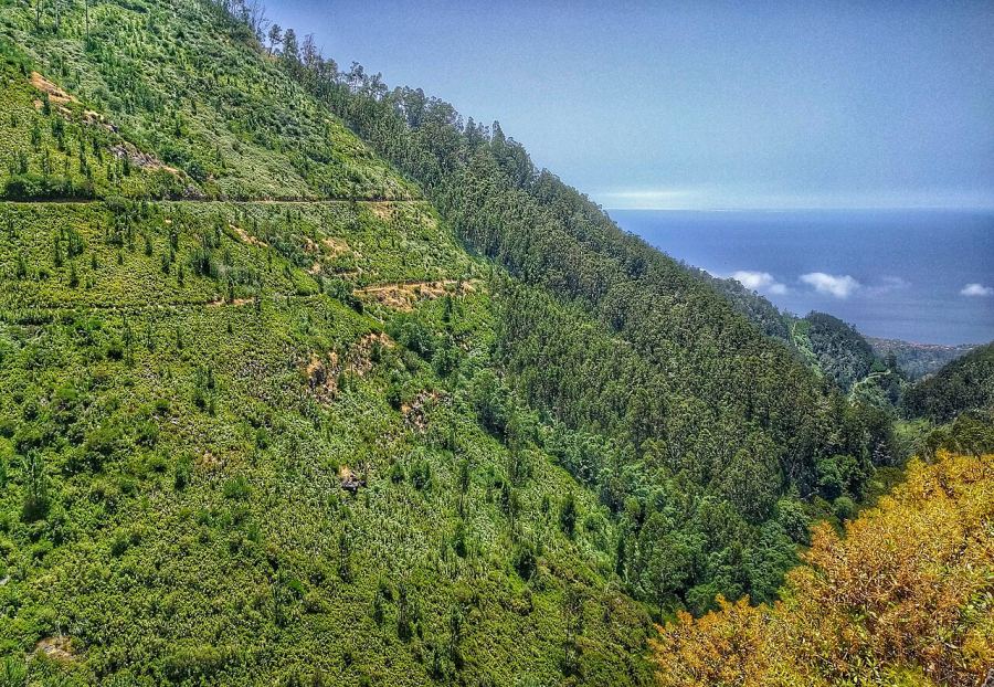 PR 28 Levada da Rocha Vermelha