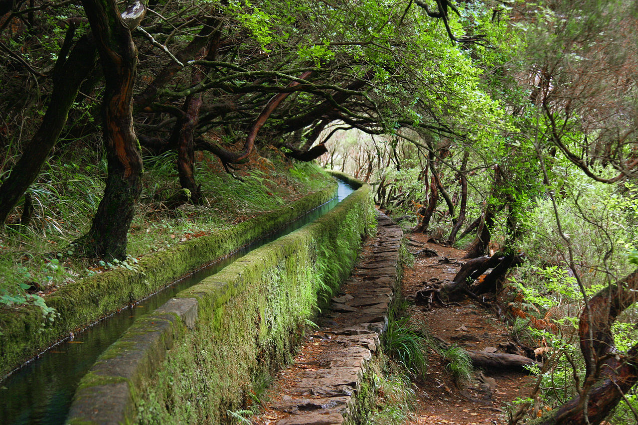 PR 6.8 Levada do Paul II