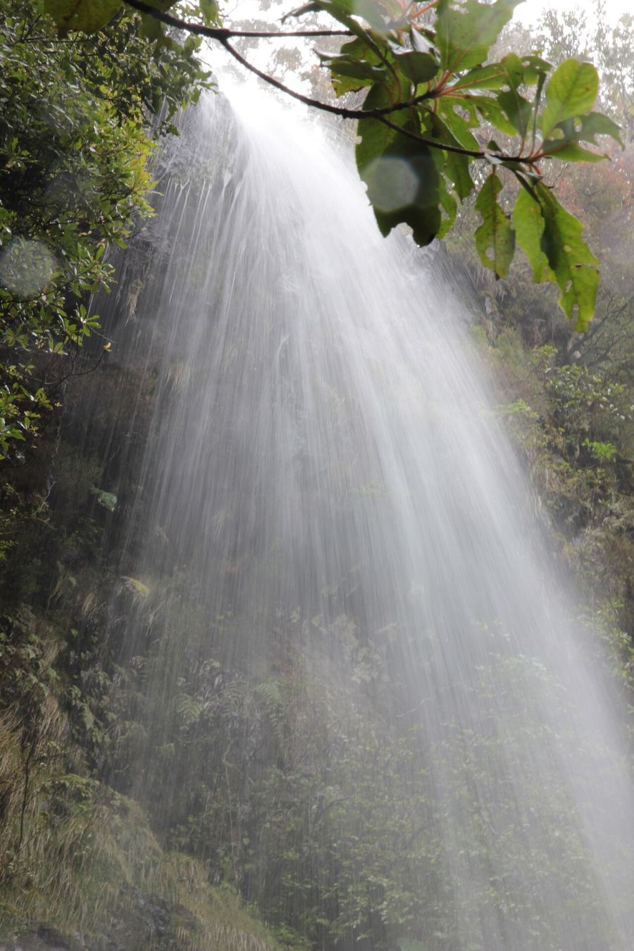 PR 9.1 Caldeirão Verde — Um Caminho para Todos