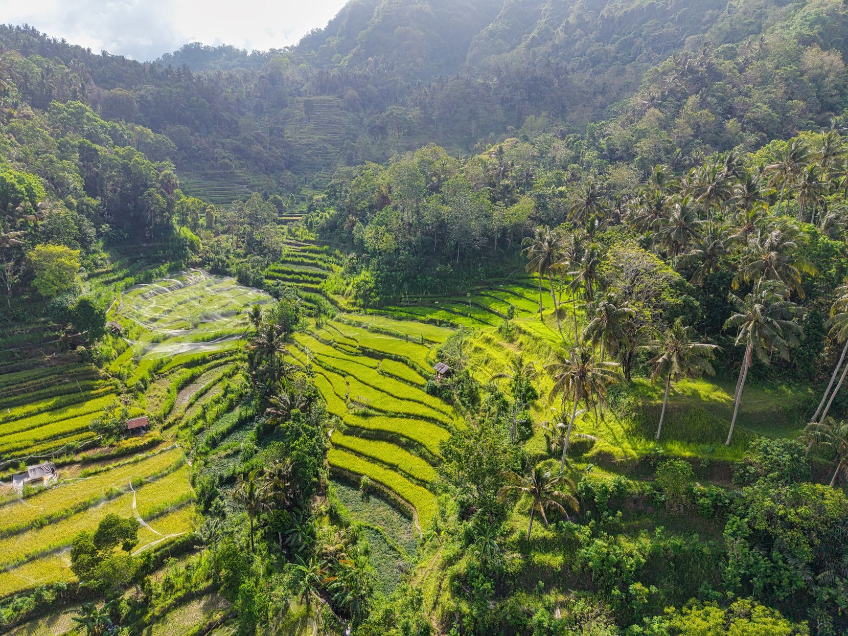 Bali — klikalny plan autorski — fotografia z dotychczasowego serwisu