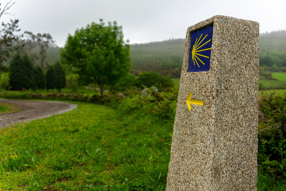 Camino Francés — fotografia z dotychczasowego serwisu
