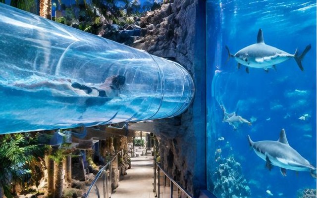 Ilustracja poglądowa: Aquapark Reda